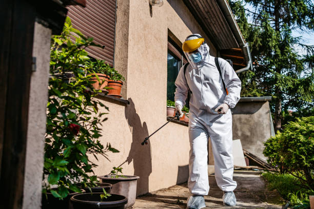 Best Best Pest Control Companies  in Converse, IN