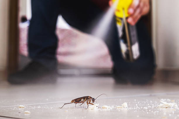 Best Affordable Pest Control Services  in Converse, IN