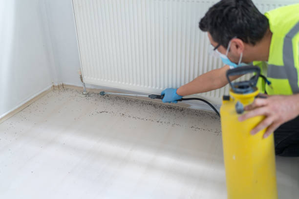Best Residential Pest Control  in Converse, IN
