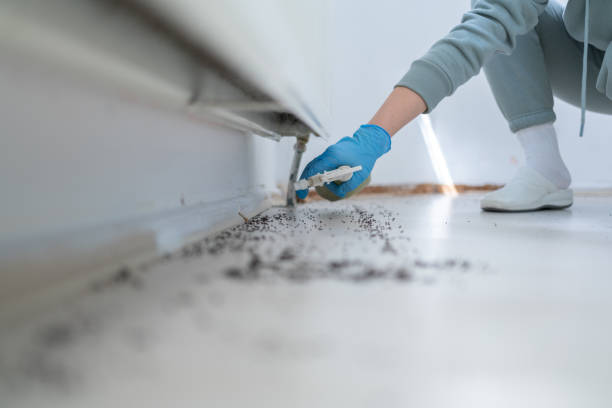 Wasp Removal Services in Converse, IN