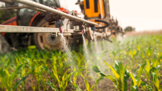 Best Mosquito Control Services  in Converse, IN